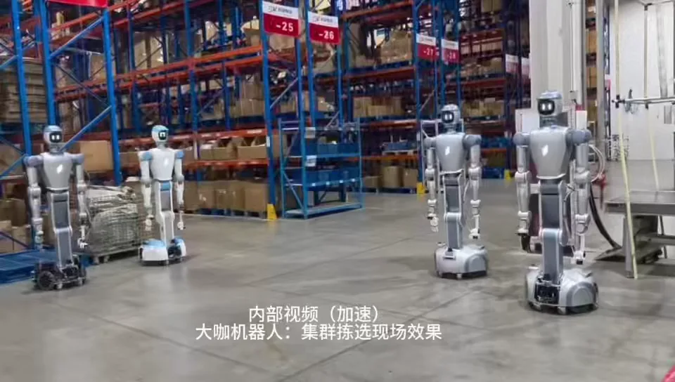 货仓拣选机器人案例实拍